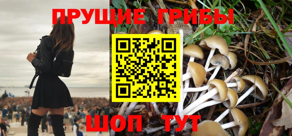 Псилоцибиновые грибы GOLDEN TEACHER Коркино